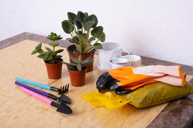 Plants and gardening tools with gloves pots on marble table Home gardening concept