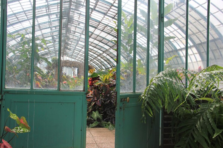 Photo 温室の植物