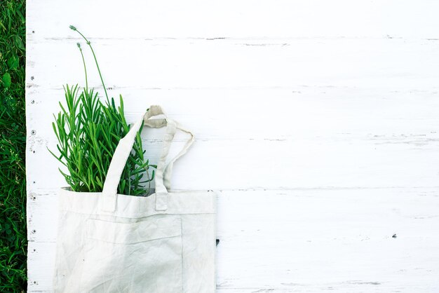 Photo plants growing against white wall