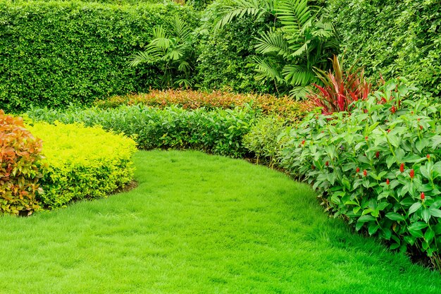 公共の公園の畑で育つ植物