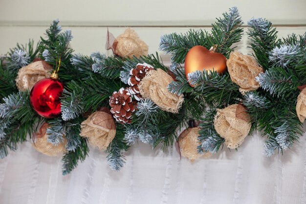 写真 クリスマスツリーで育つ植物