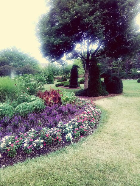 Plants growing on landscape