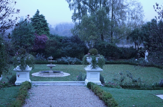 Photo plants growing in park