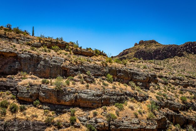 Plants growing on rocks against clear blue sky