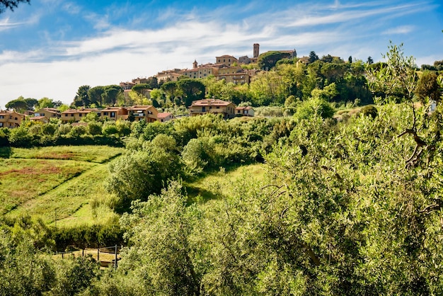 Foto piante sul paesaggio contro il cielo