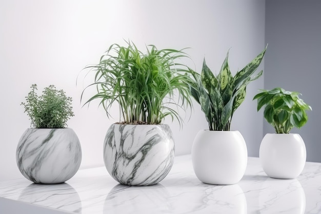 Plants in marble flower pots in the interior on white