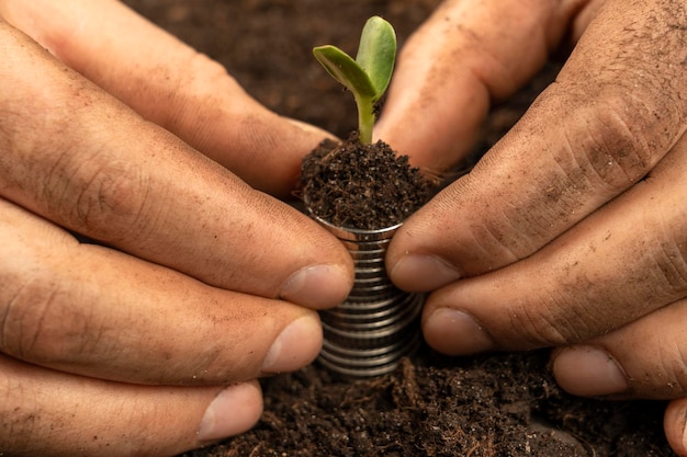 お金のための植物 お金の成長の概念 男性の農夫が手で畑の土に触れている 農夫の手はお金で有機土と植物を持っている