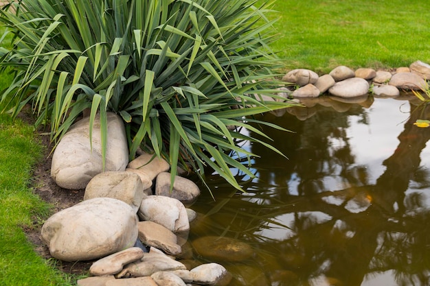 Plants and natural stone of the reservoir in the garden with landscape design