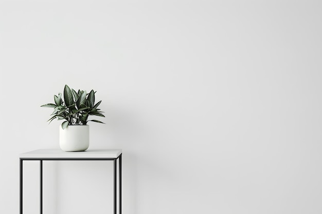 Photo plants in pots on a wooden table against a wall