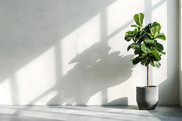 Plants in pots on a wooden table against a wall