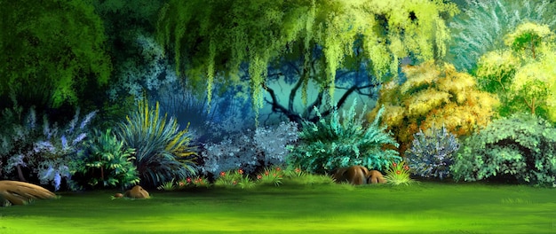 Plants in the rainforest illustration