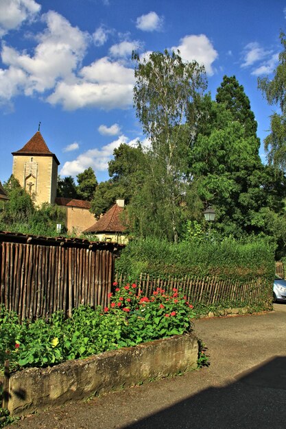 Plants on road against cloudy sky