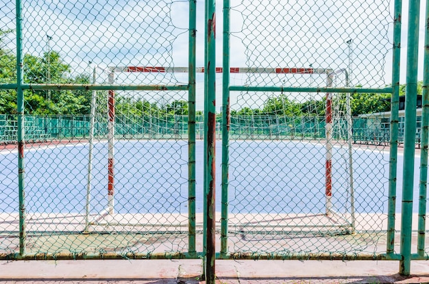 Foto piante viste attraverso la recinzione a catena