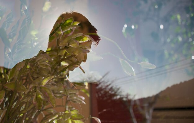 Photo plants seen through window with reflection of man