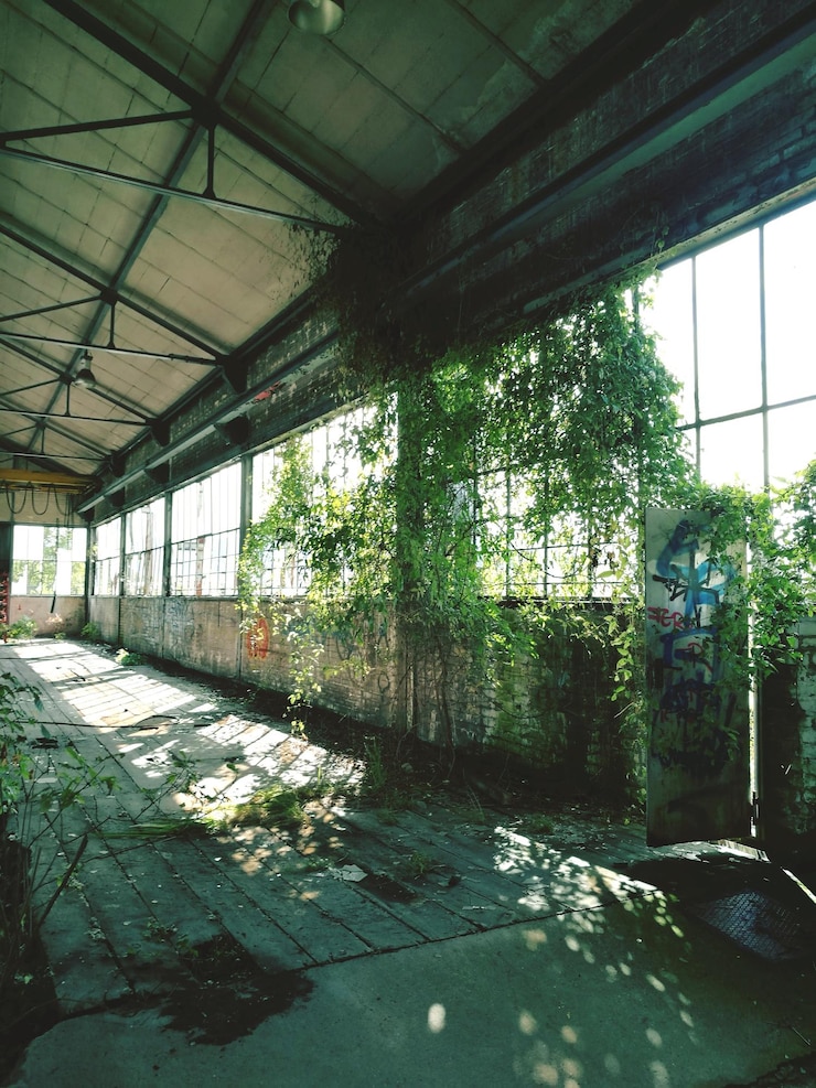 Photo 窓から見える植物
