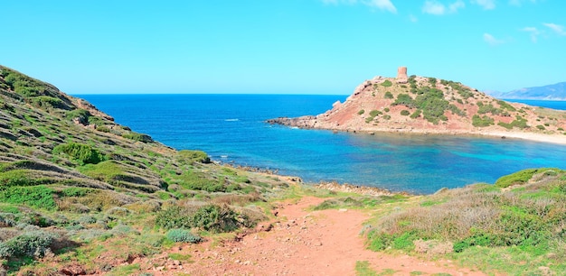 Porticciolo 해안선 Sardinia의 식물과 토양