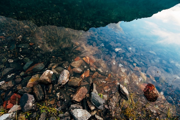 Plants and stones on bottom of mountain lake with clean water close-up. 