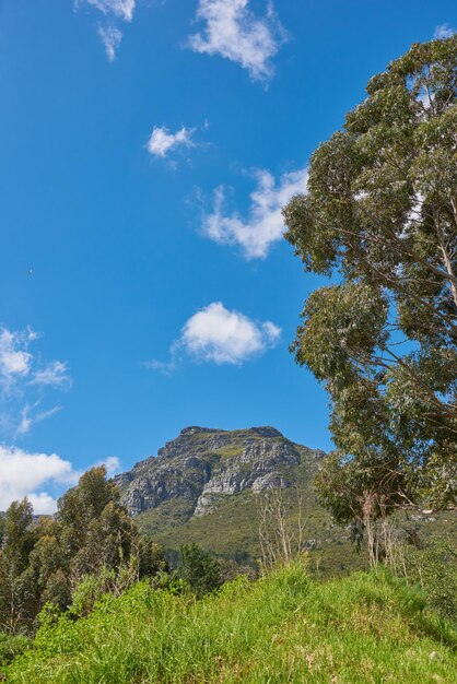 Plants trees and bush growing on a mountain against a cloudy blue sky in summer Landscape view of an empty secluded and peaceful natural environment with greenery vegetation and grass in nature