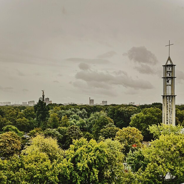 Plants and trees by building against sky