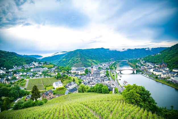 空に照らされた建物の近くの植物と木