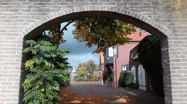 Plants and trees in front of building