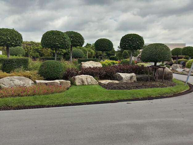 Plants and trees in garden against cloudy sky