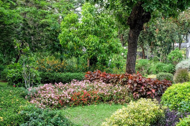 Plants and trees in park