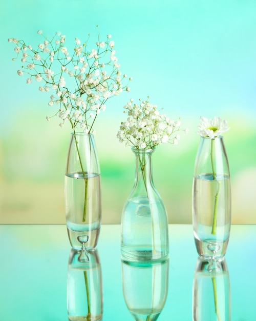 Plants in various glass containers on natural background