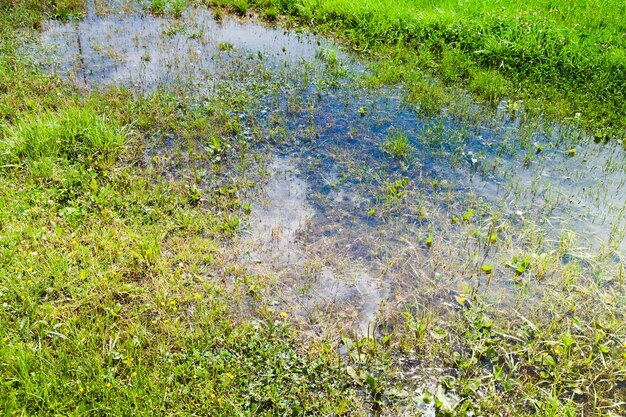 Plas weerspiegelde witte wolk