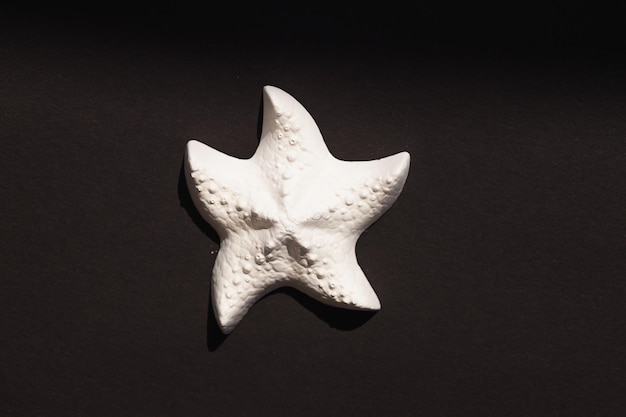 A plaster figure of a starfish on a colored background