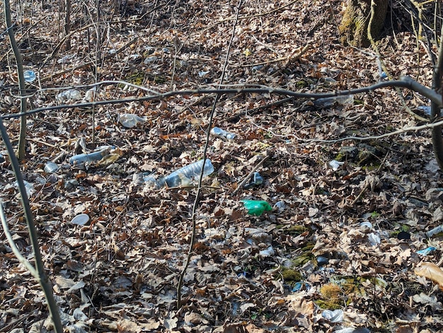 Foto sacchetti di plastica e bottiglie a terra nella foresta