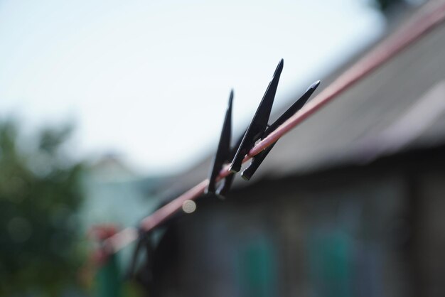 Plastic black clothes pin on rope Black Plastic Clothespins on a Clothesline for Drying Clothes