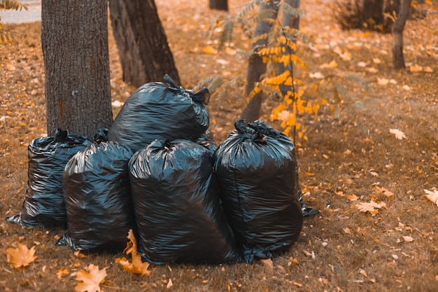 秋の屋外のプラスチック製の黒いゴミ袋