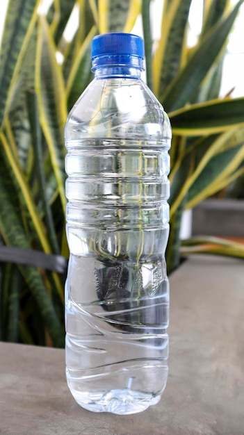 A plastic bottle of mineral water with blue cap