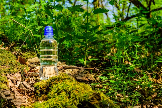 Plastic bottle with the clear water on tree trunk in forest