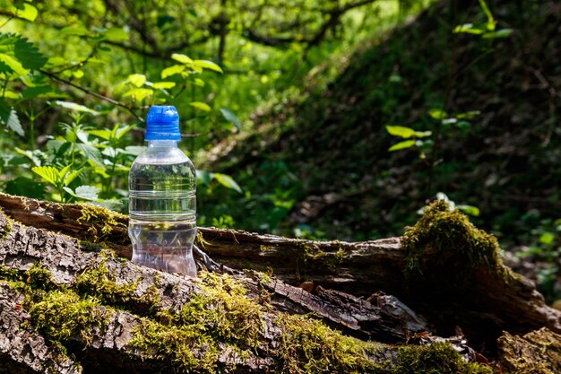 Пластиковая бутылка со свежей питьевой водой на фоне зеленого леса