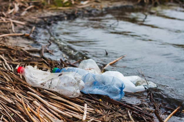 Plastic bottles on the river bank, concept for the day of the protection of the oceans. Nondegradable plastic rubbish on the coast.