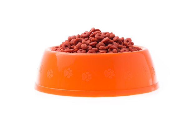 plastic bowl full with dog food isolated on white background