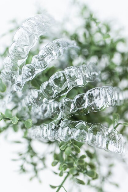 Foto appoggi dentali di plastica per il raddrizzamento dei denti appesi a foglie verdi di piante da camera