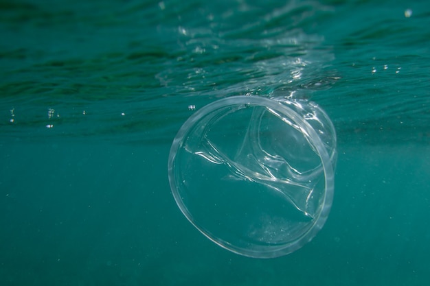 海の水中のプラスチック製のしわくちゃのカップ。環境汚染の概念