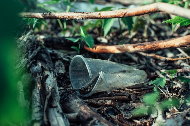 Plastic cup and trash in the forest. environmental pollution.\
environmental issue and disaster.