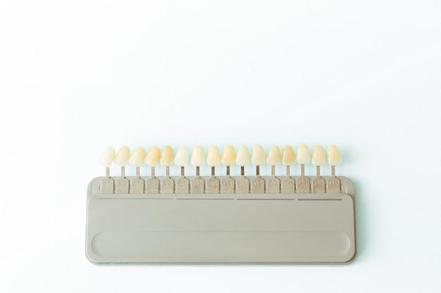 흰색에 고립 된 치아의 색조를 선택하기위한 플라스틱 치과 용 임플란트