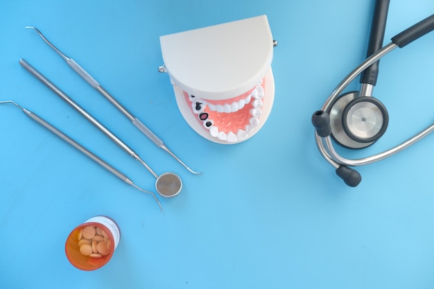 plastic dental teeth model on blue surface