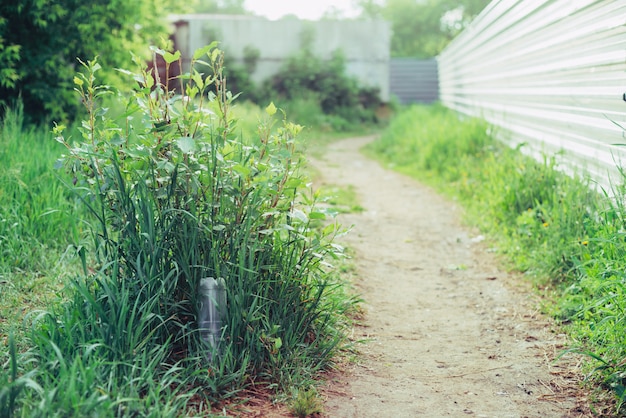 Plastic fles in gras. Vuilnis tussen planten. Giftig plastic overal in de natuur. Vuilnis in park onder vegetatie. Verontreinigde bodem. Milieuverontreiniging. Ecologische kwestie. Gooi overal afval.