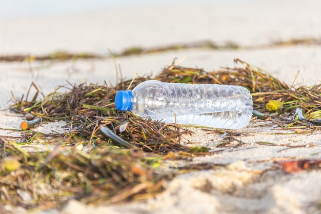 Plastic fles met dop aangespoeld op strand gemengd met zeewier