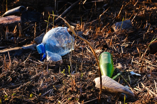 プラスチックとガラスのごみ汚染環境と自然