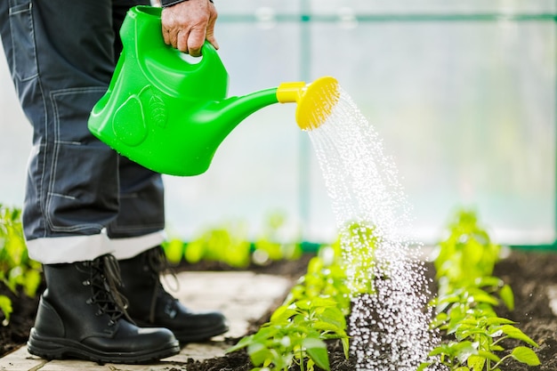 Пластиковая зеленая лейка используется для полива Концепция садоводства и сельского хозяйства