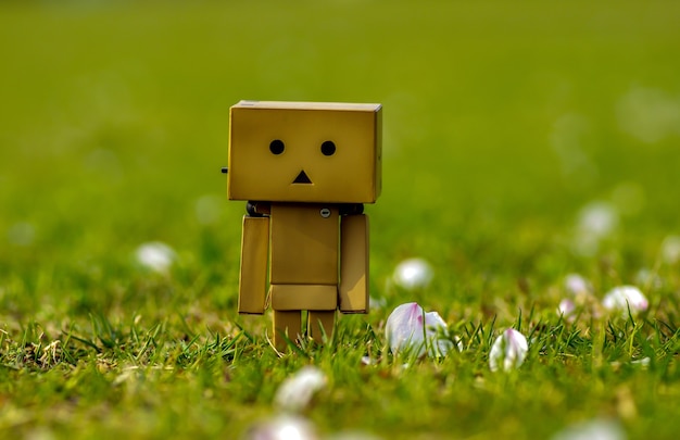 A plastic model that looks like cardboard boxes playing on the grass with the scattered cherry blossoms  in the park