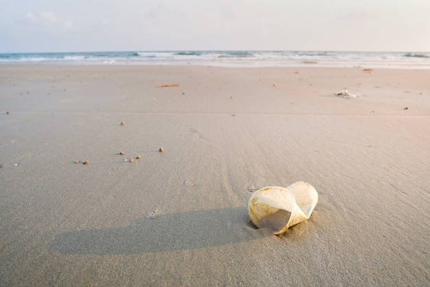 Plastic mokken worden in het kustgebied gedumpt