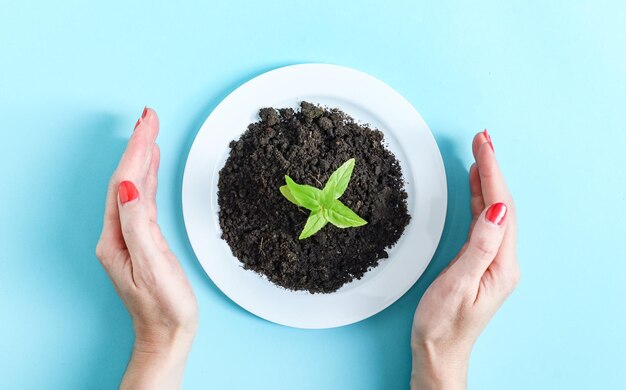 A plastic plate with earth and a green sprout in the hands of a caucasian woman on a light blue